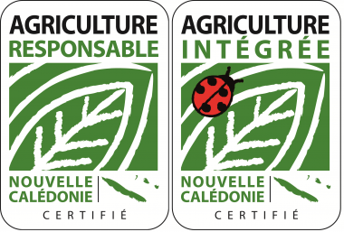 logo+ar+ai+repair+agriculture+certification+nouvelle+calédonie