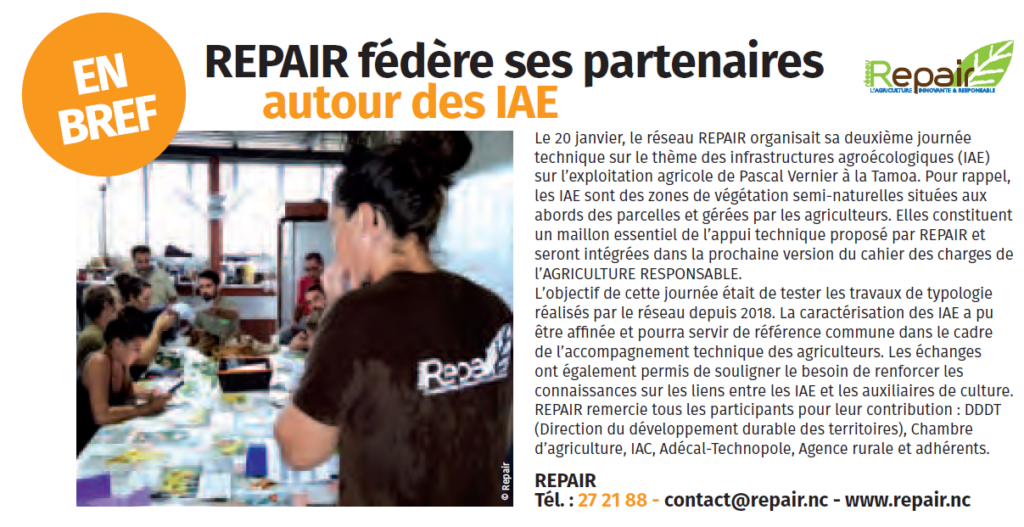 repair+agriculture+responsable+nouvelle+caledonie+AR+certification+label+certification+produits+locaux+environnement